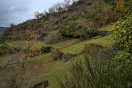 Ahrtal (2v9) - Bernhard Saalfeld - Lichtbildkunst
